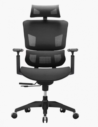 Ray-E 高背人體工學電腦椅 【常規配置】