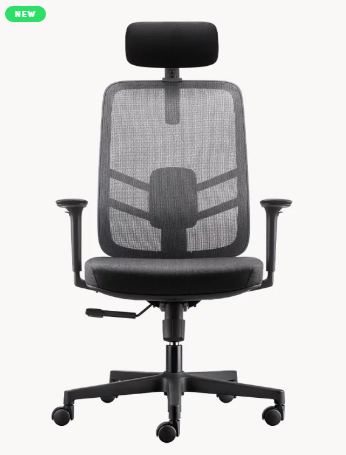 AERO – H 人體工學電腦椅 (有頭枕)